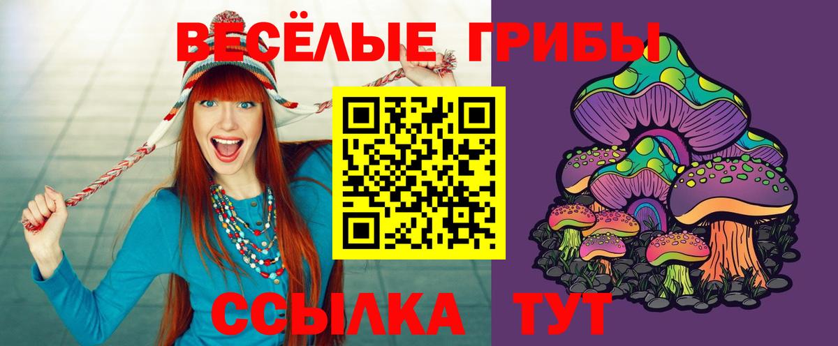 Псилоцибиновые грибы мицелий Гай