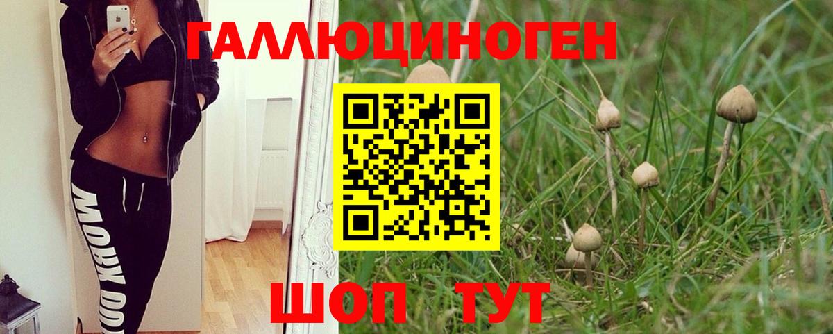 купить  сайты  Псилоцибиновые грибы Magic Shrooms  Вход с VPN  Гай 