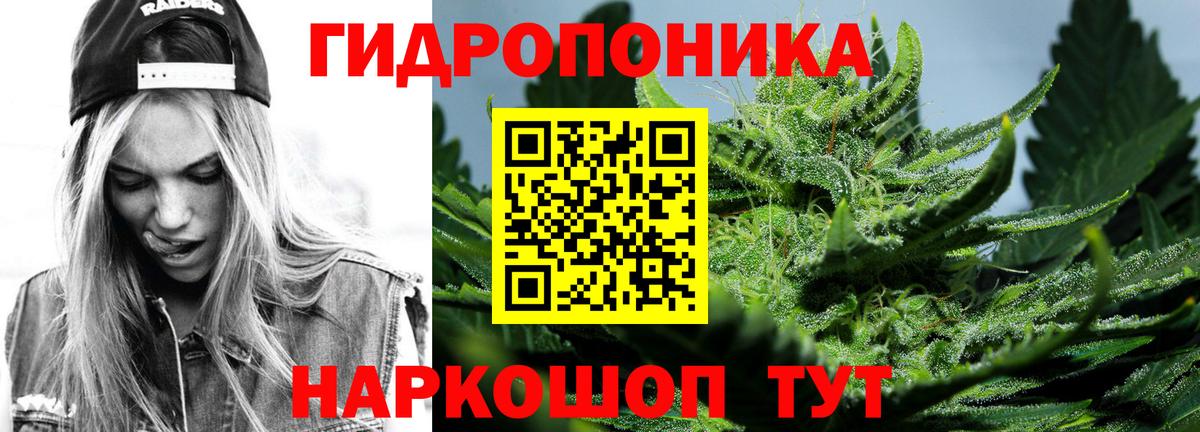 Бошки марихуана AK-47 Гай